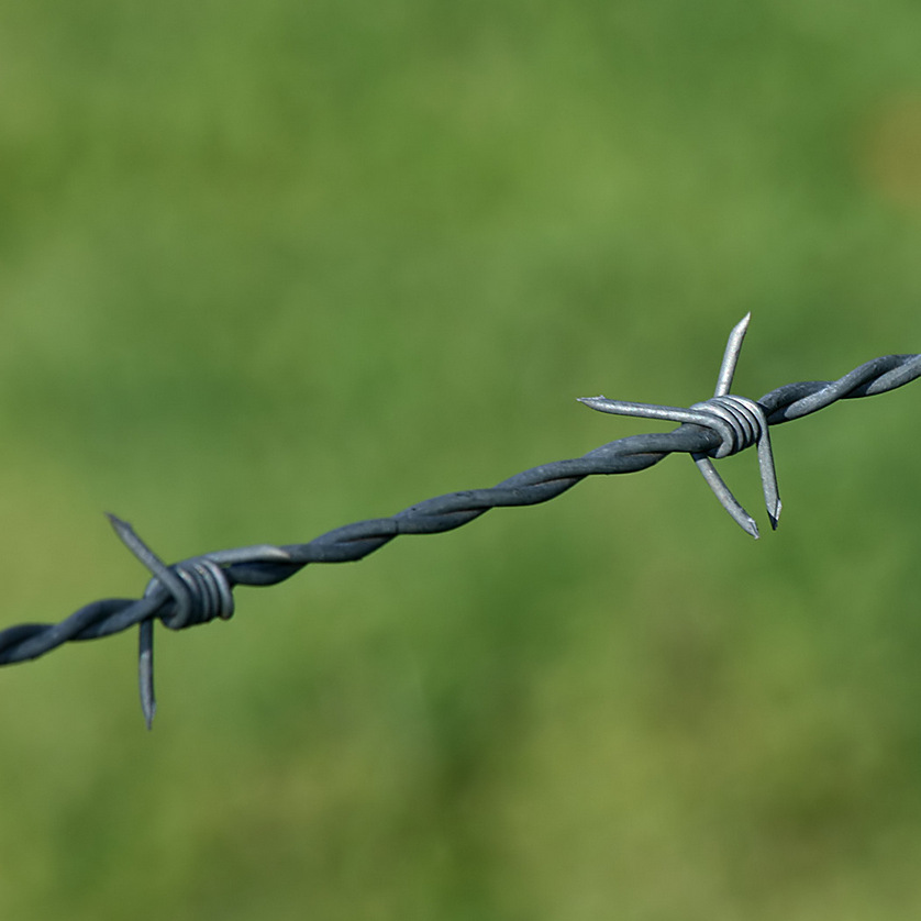 陕西西安宝鸡刺丝刺绳包塑刺绳刺网护栏网