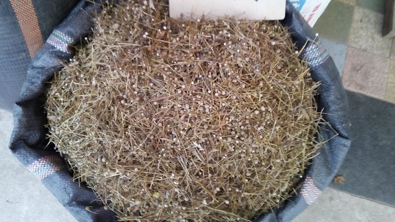 00元 产品名称 谷精子 品牌 亨达 是否进口 否 原产地 广西 售卖方式