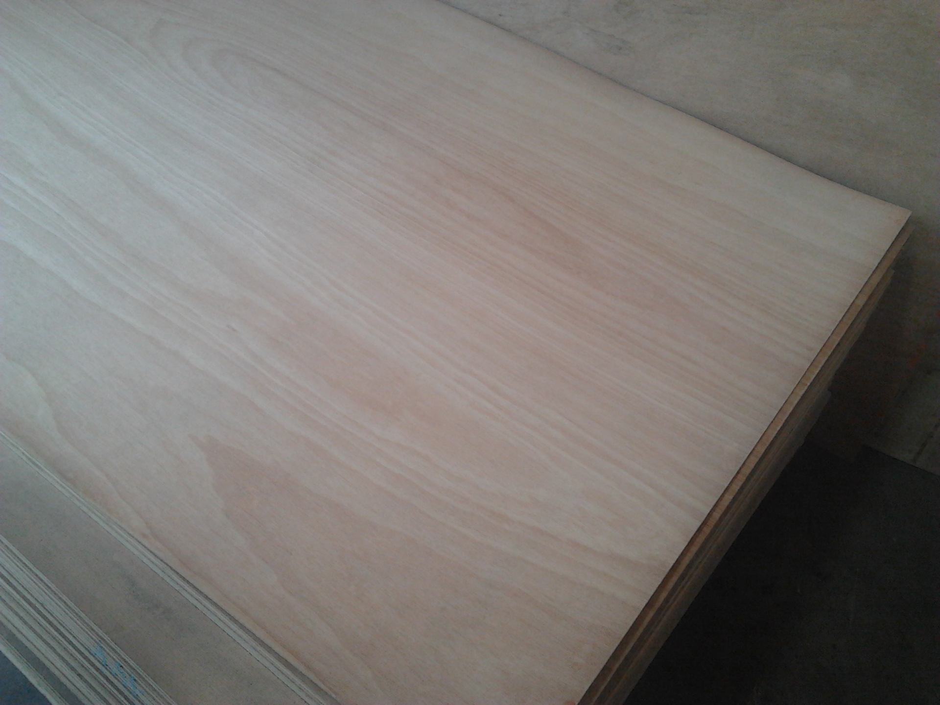 供应三合板五合板 夹板