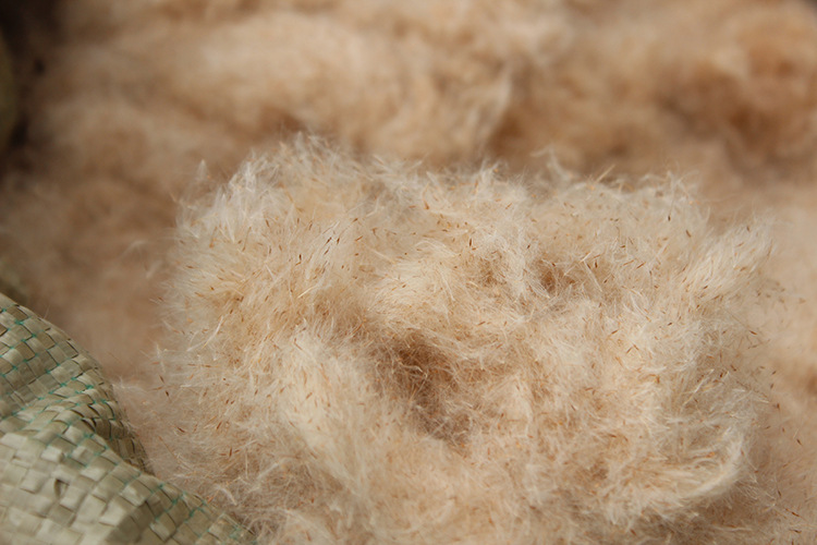 天然工艺原料_天然工艺原料植物工艺品 野生天然香蒲绒 枕头填充物 - 