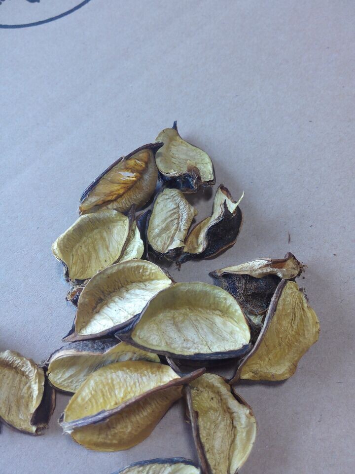 不加香棉花壳 染色棉花壳干花 棉花壳香包干花