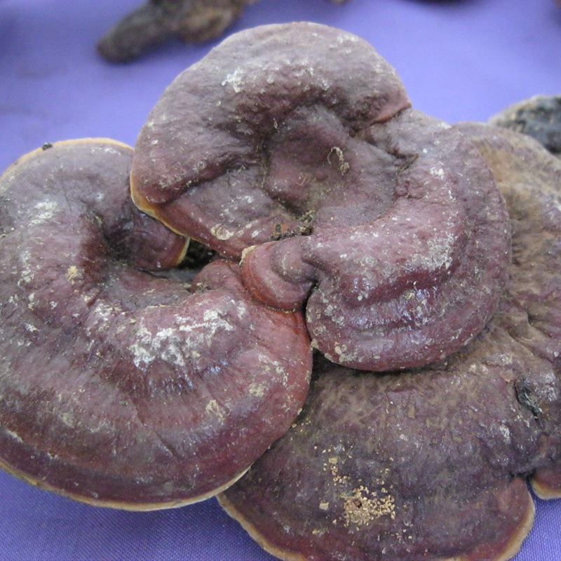 五味子 辽五味 北五味 另有冷备药材 量大从优 各种规格中药材