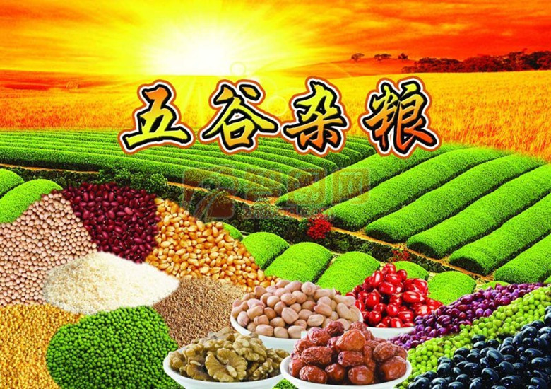 五谷粉固体饮料速溶咖啡五谷杂粮粉批发食品饮品粉500g