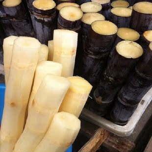 甘蔗图片_甘蔗图片大全 - 阿里巴巴海量精选高