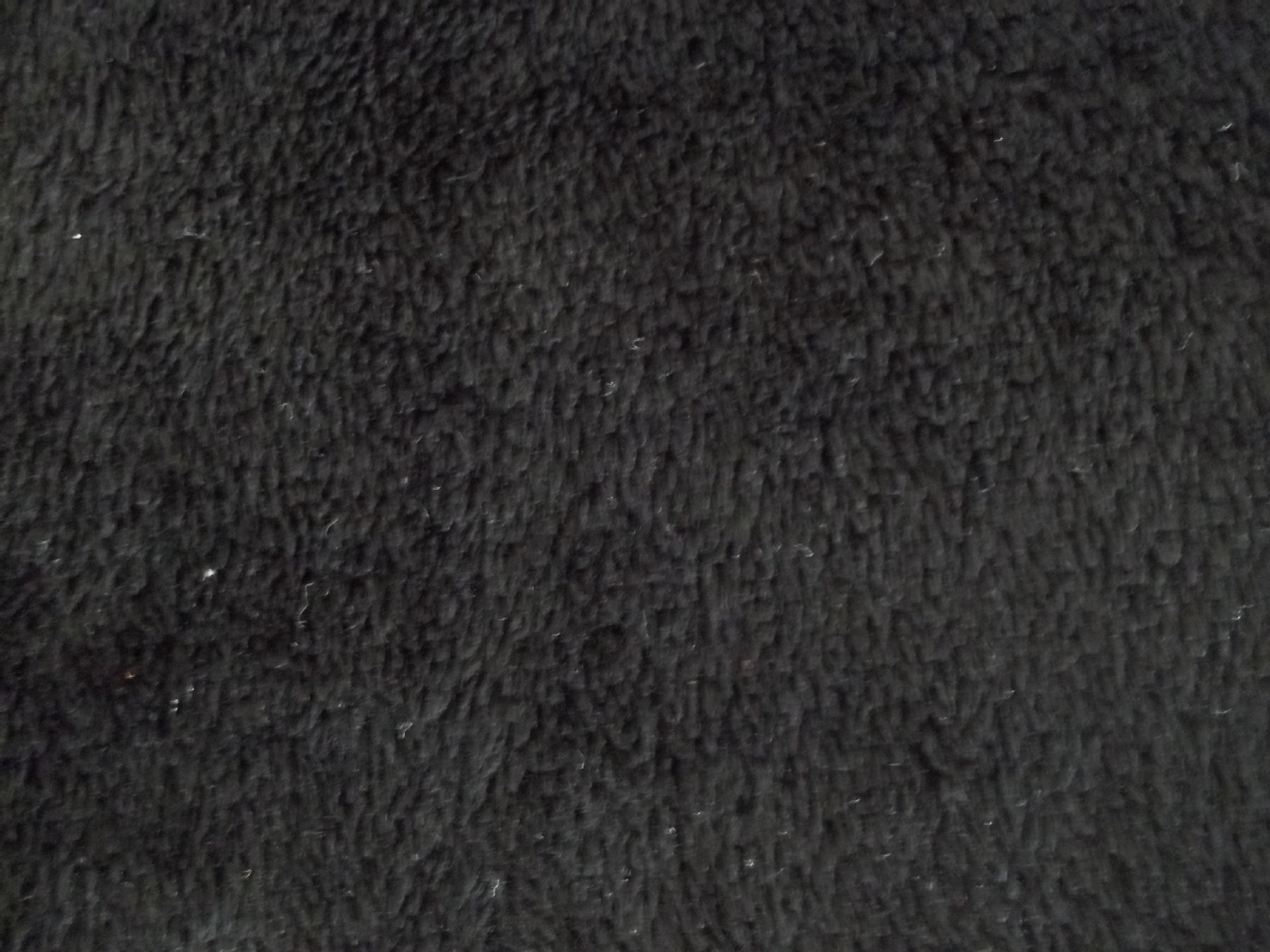 超柔短毛绒 玩具绒布 复合绒布 经编绒布