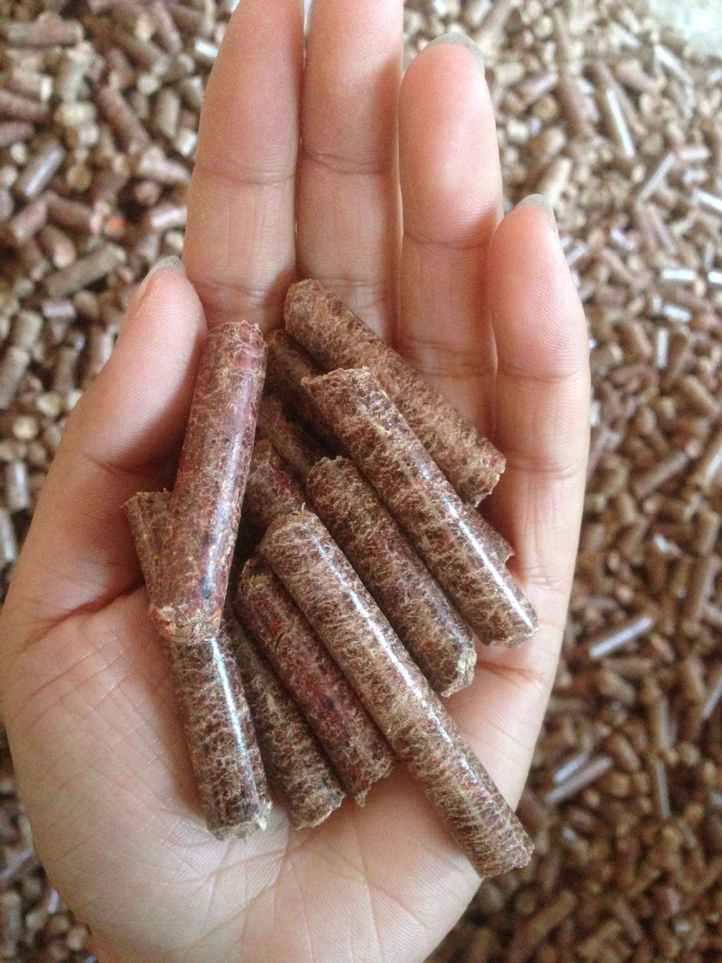 生物质颗粒燃料 燃烧颗粒 实木颗粒 环保燃烧颗粒小包装