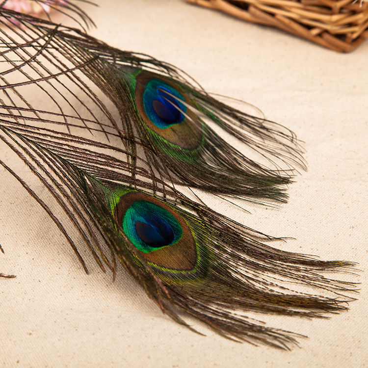 厂家直销 天然大眼25-120cm 孔雀羽毛 孔雀翎 孔雀尾 孔雀毛