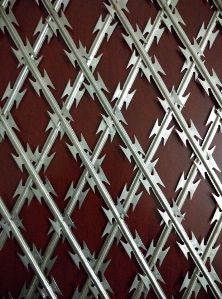 焊接刀片刺网,刀片刺绳护栏网,刀刺网 安平县菲璇刀片焊接厂