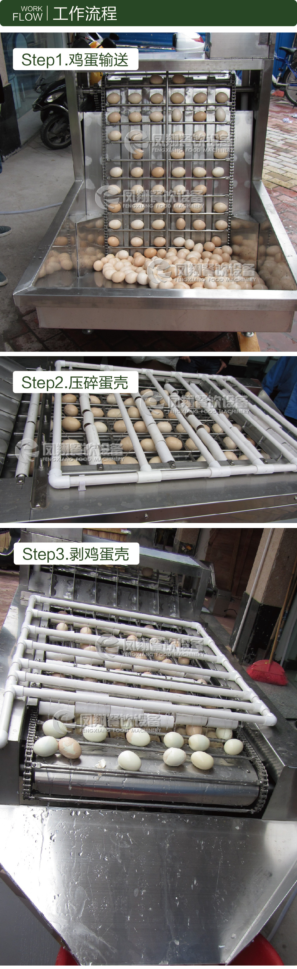 肇庆凤翔牌 全不锈钢鸡蛋去壳机,鸡蛋剥壳机 产量大效果好