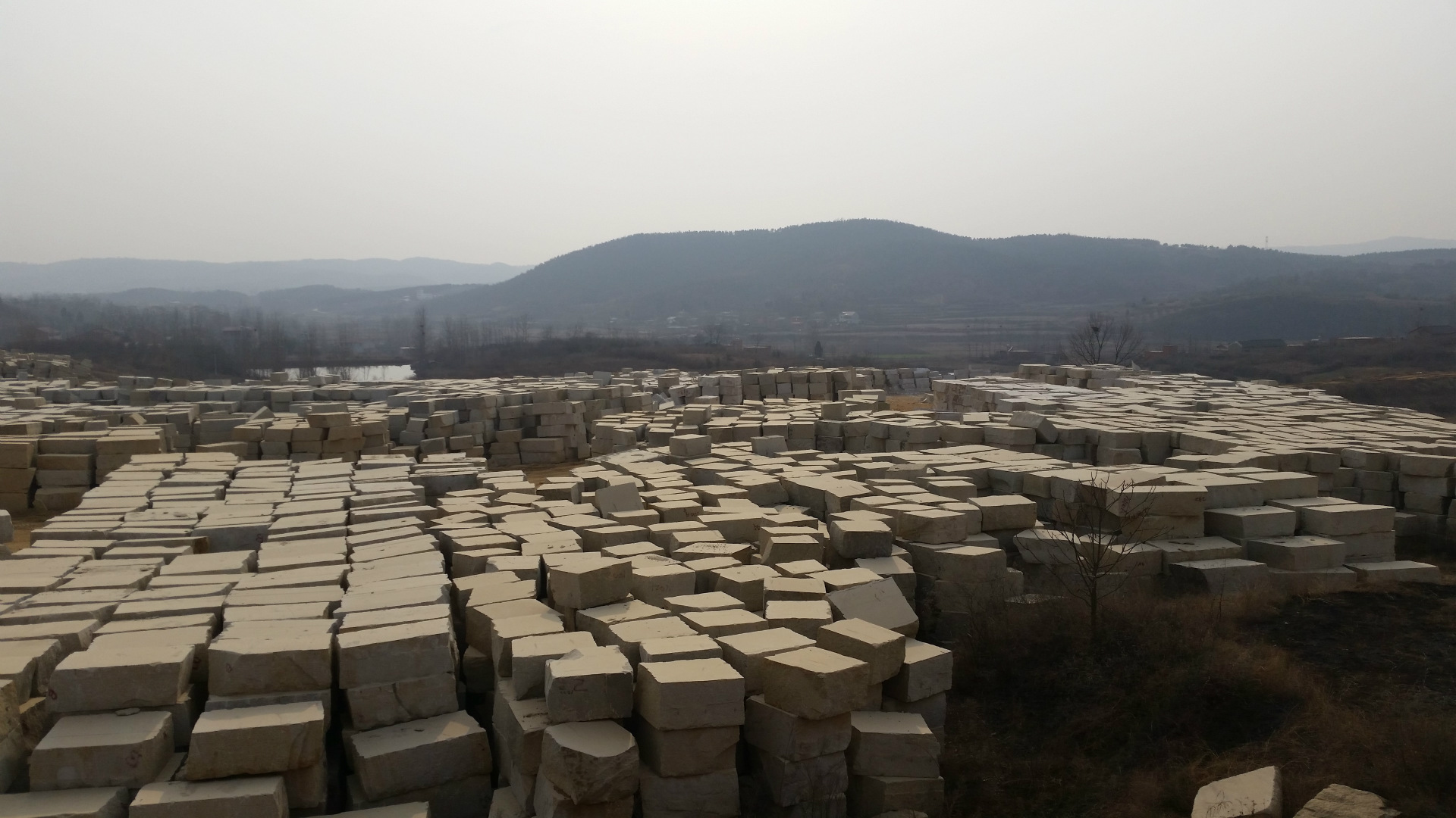 矿山直销中黄黄金麻荒料山东黄锈石荒料