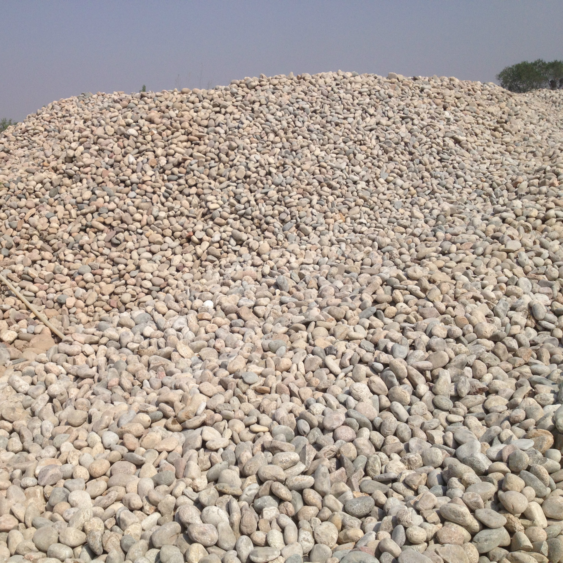 供应机制鹅卵石 白色鹅卵石 鹅卵石 装饰铺路