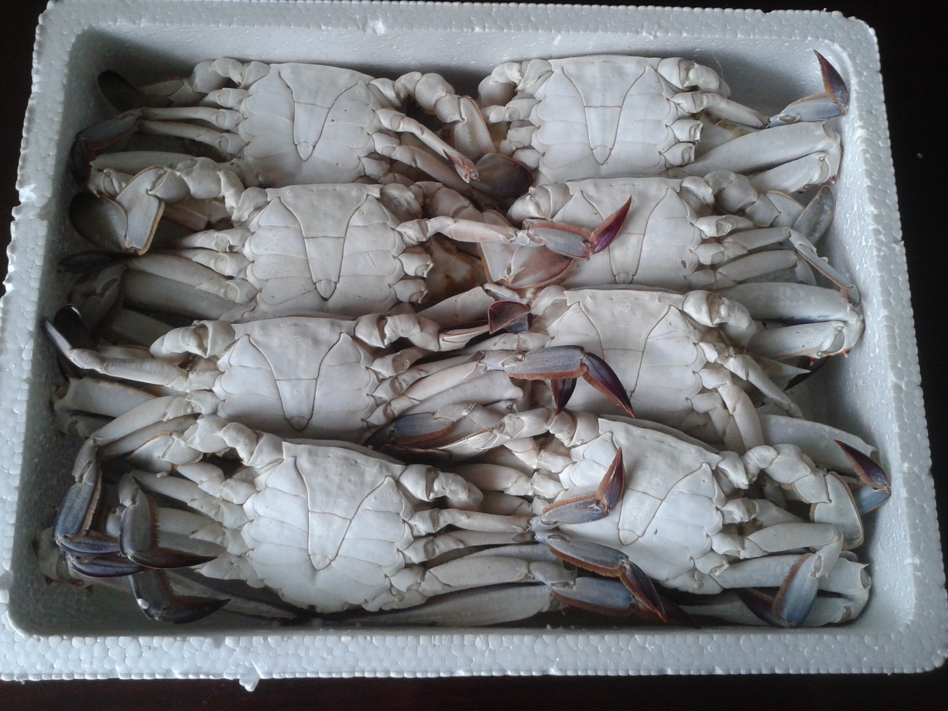 精选鲜冻梭子蟹 冷冻海鲜产品 产地直销 精致泡沫箱装