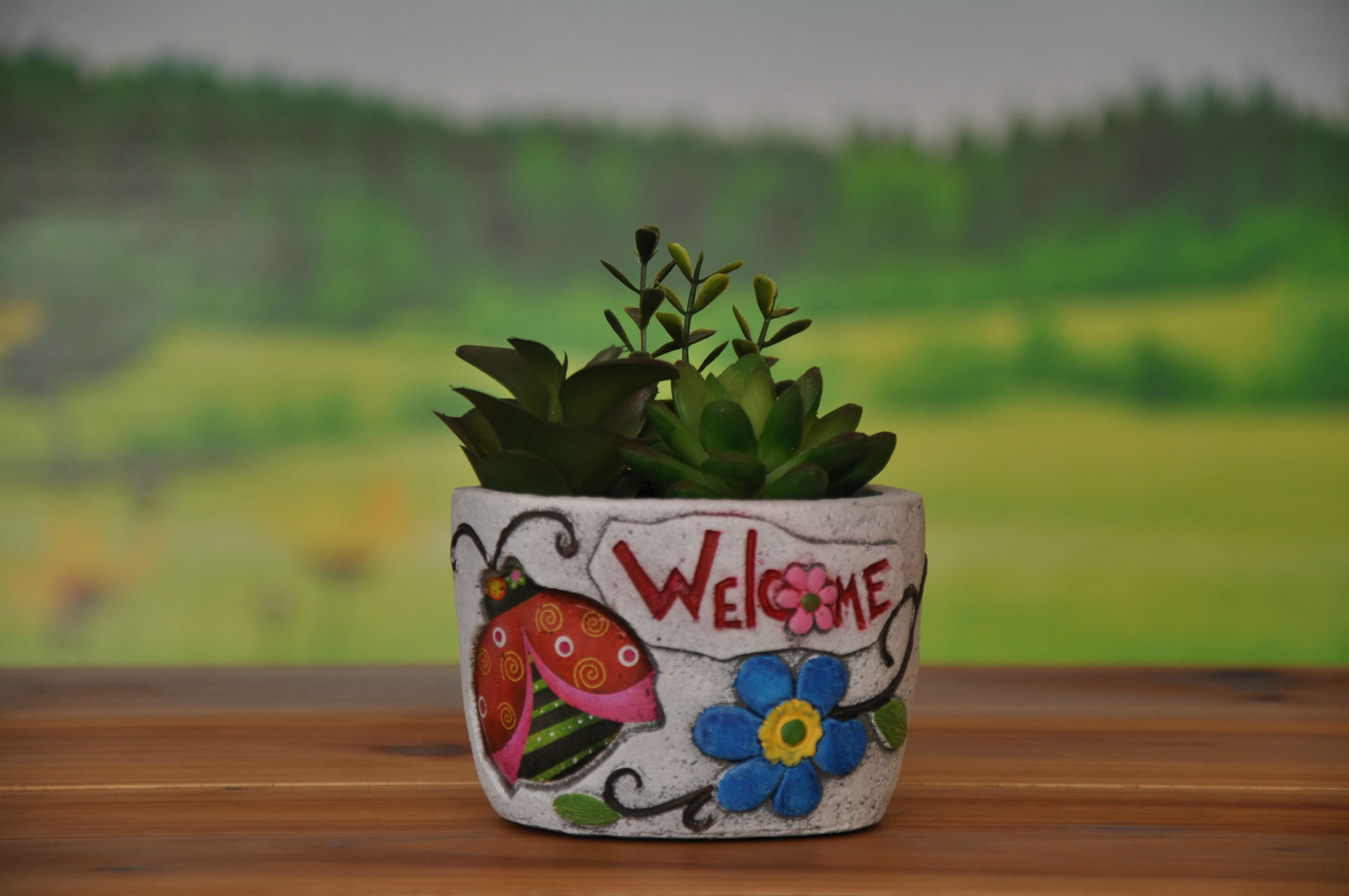 创意水泥花盆 多肉花盆 家居工艺品摆件 庭院园艺盆栽花器qt110