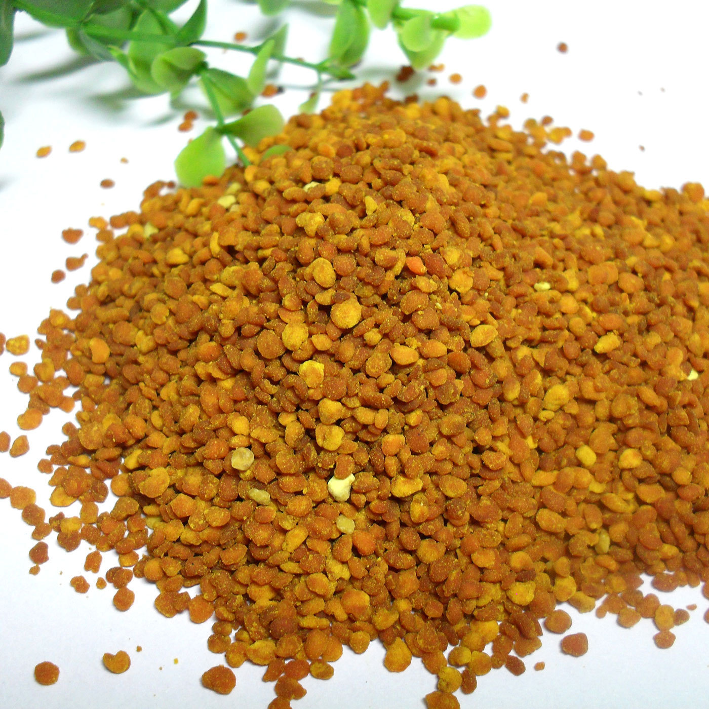 小森林 纯天然荷花粉225g瓶 厂家直销