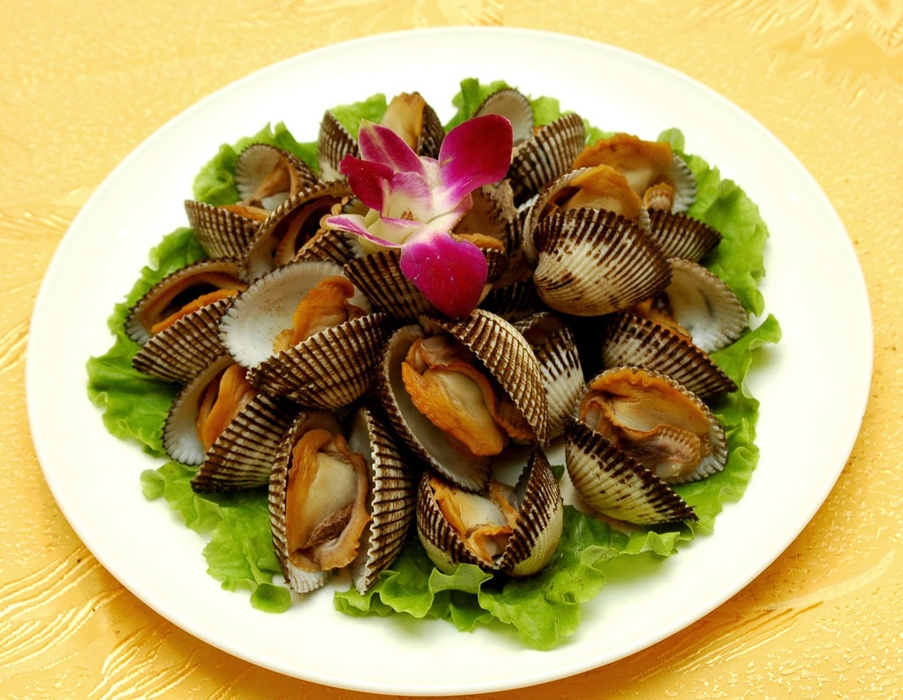 连云港海产品 批发 海鲜 毛蛤 大毛蛤 优质鲜活 产地直销