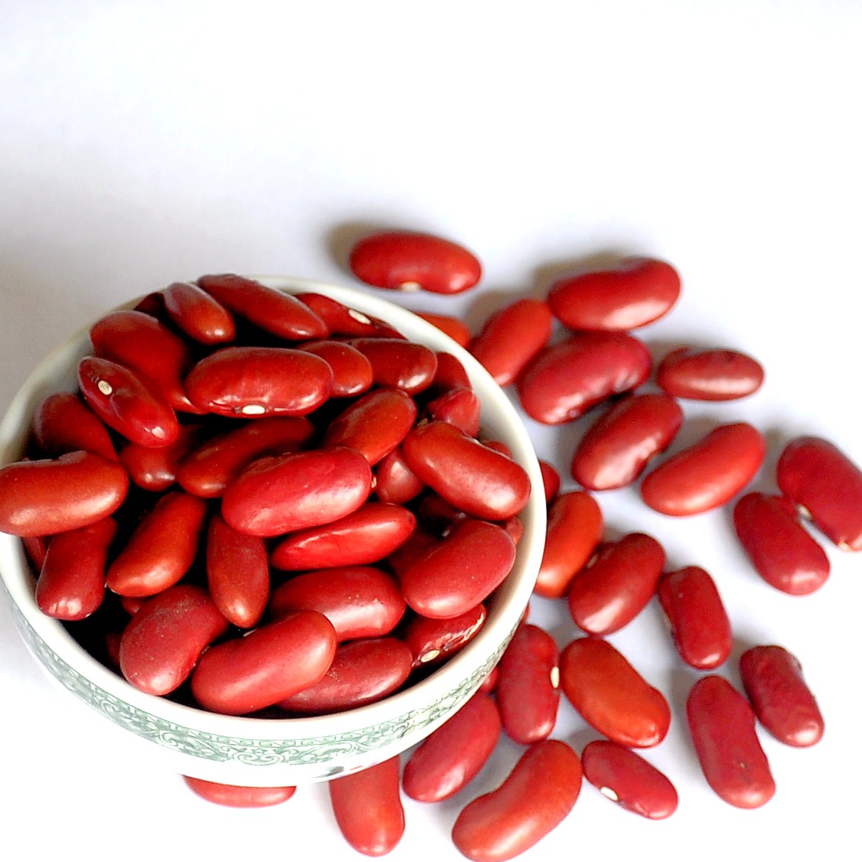 供应红腰豆 英国红 产地 批发