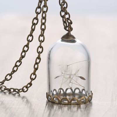 爆款 玻璃瓶蒲公英项链 长款项饰批发首饰厂家直销