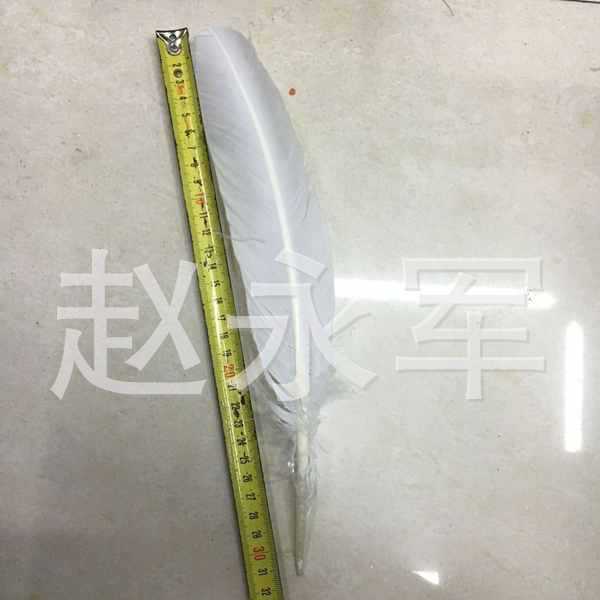 QQ图片20151207145539_副本