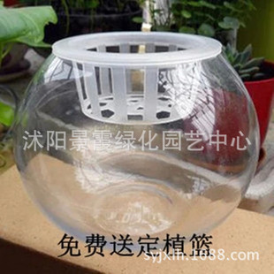 水培植物玻璃花盆 水培圆球玻璃花盆盆含定植篮 可养鱼养花玻璃缸