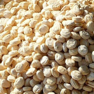 东北人参籽人参子补气血中药人参种子 治结石 催生籽