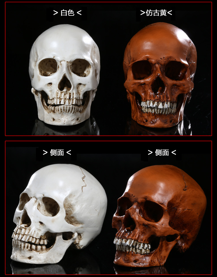 热卖酒吧摆饰工艺品天然树脂仿真骷髅头生日派对摆饰礼品分体头骨