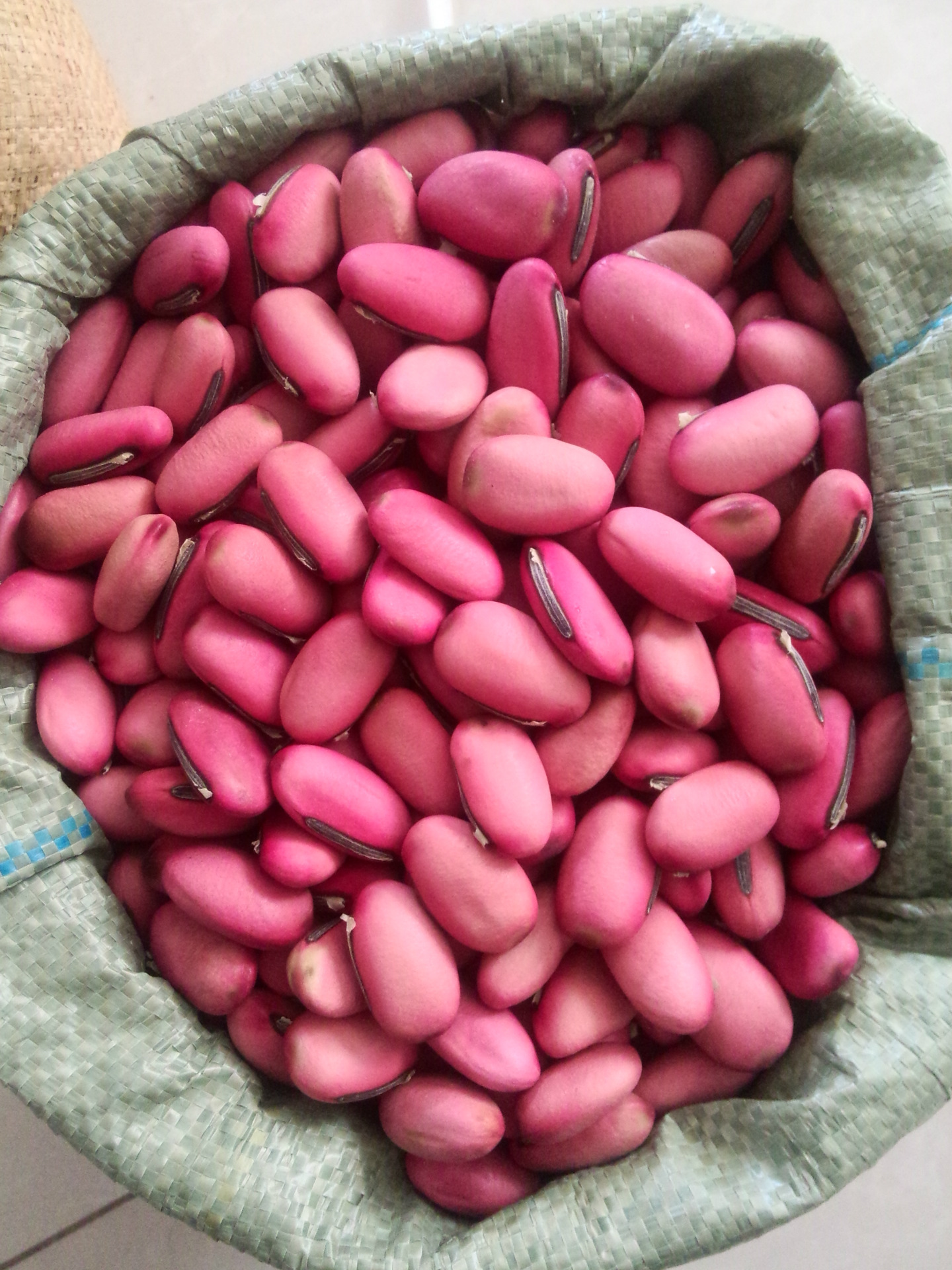 批发冷背奇中药材优质 红刀豆 大刀豆