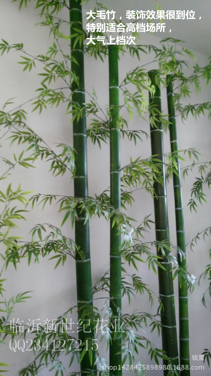 竹子 仿真竹子毛竹粗竹竿竹子制品 仿真花 仿真植物 仿真树