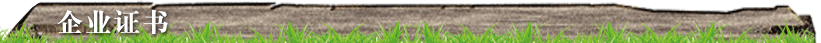企业证书