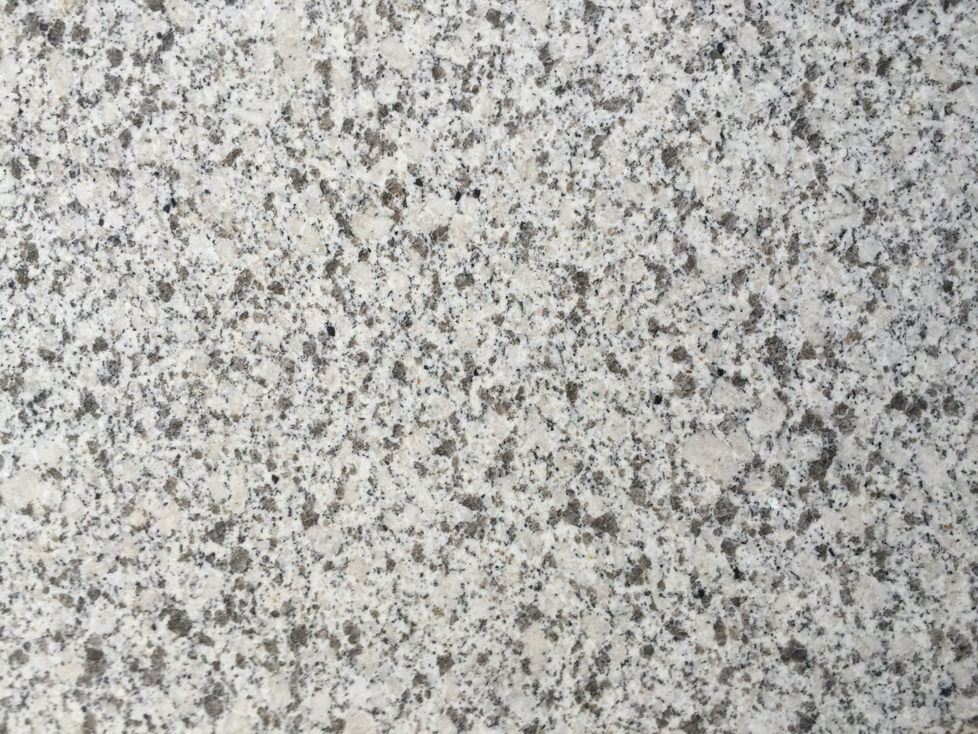 珍珠白麻大花白麻光面 (5)