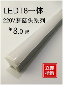 T8一体蘑菇白头 246_副本