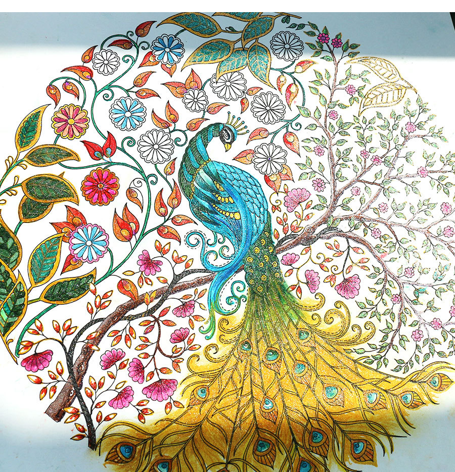 秘密花园孔雀-详情页_11