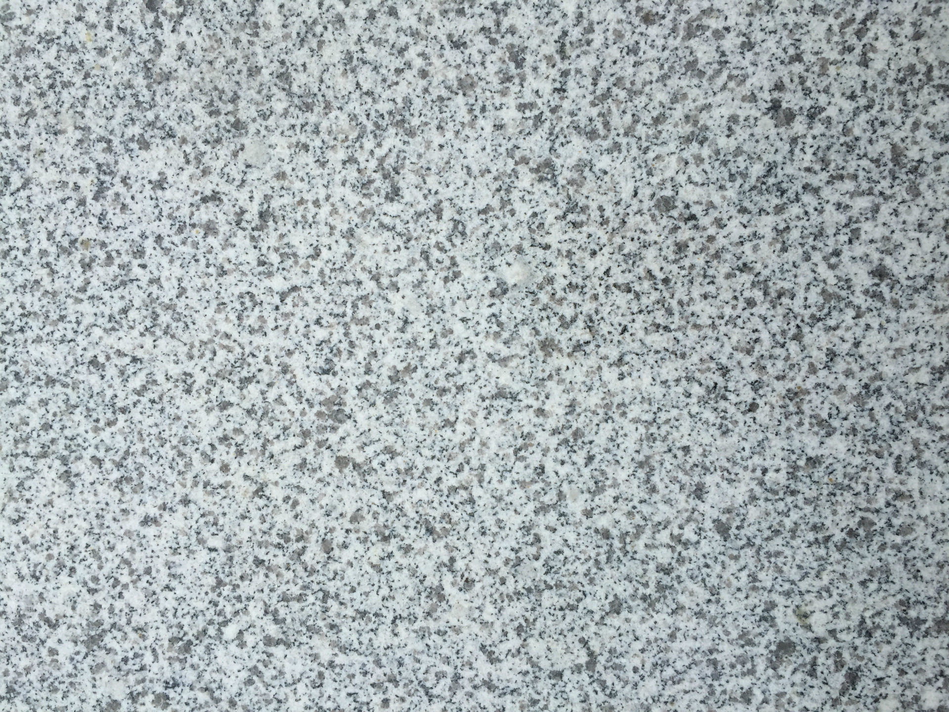 细花白麻芝麻白光面