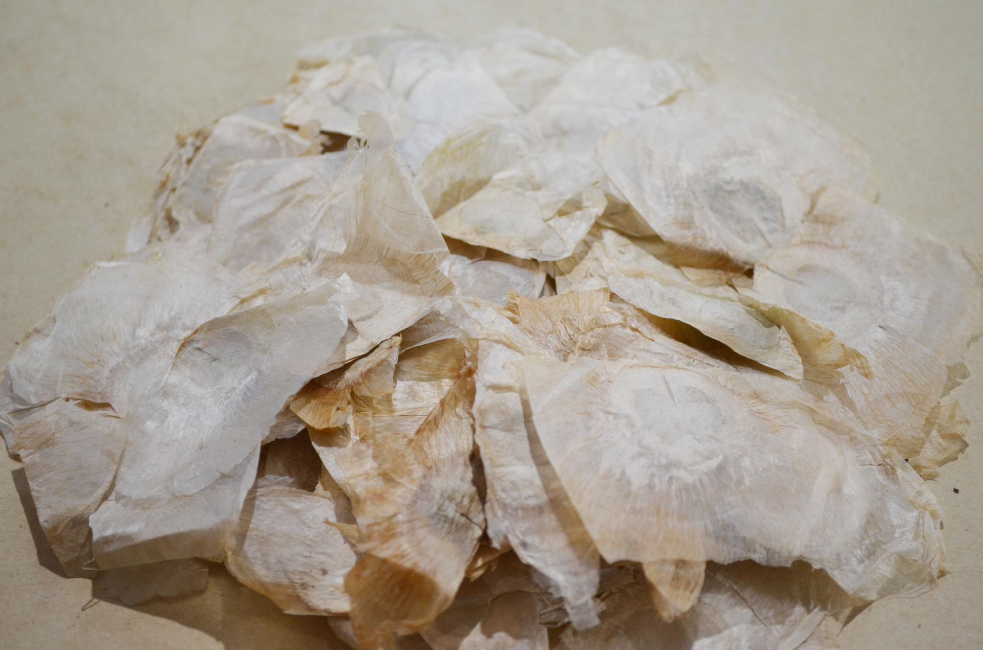 批发经营各种中药材 中药饮片 木蝴蝶千层纸千张纸玉蝴蝶盛昌堂