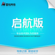 杭州雷铭网络 网店旺铺托管关键词排名优化 诚