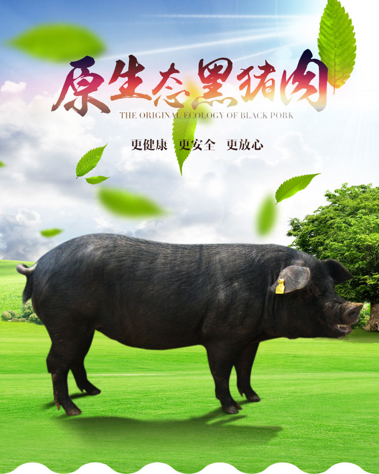 郑州润垚农牧黑猪里脊