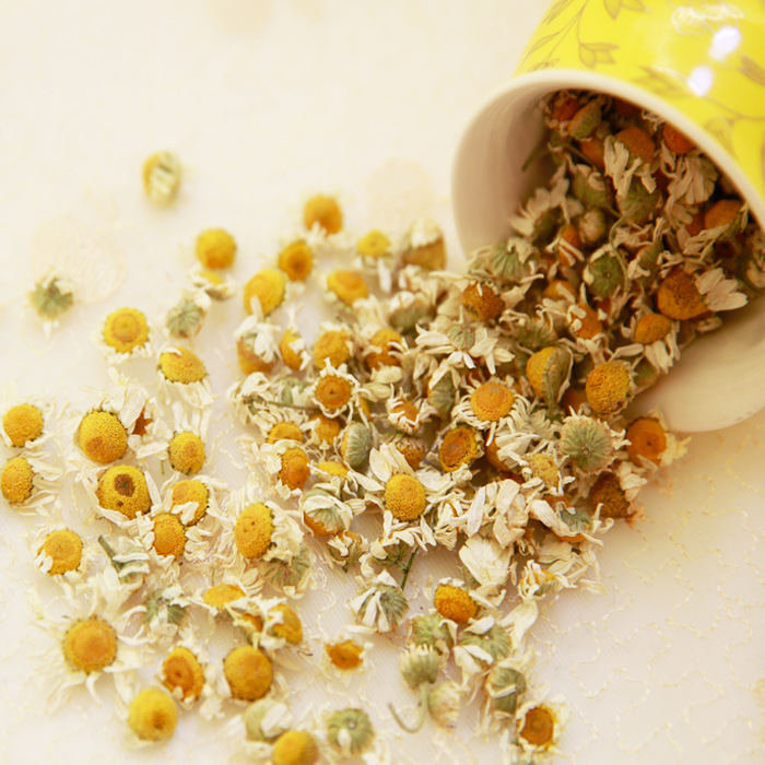 新疆伊犁产洋甘菊干花粒特级,洋甘菊花茶,花粒大罗马洋甘菊包邮