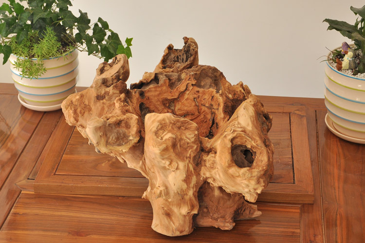 厂家直销大件家居崖柏根雕工艺品摆件防腐木质多肉植物花盆tr5721