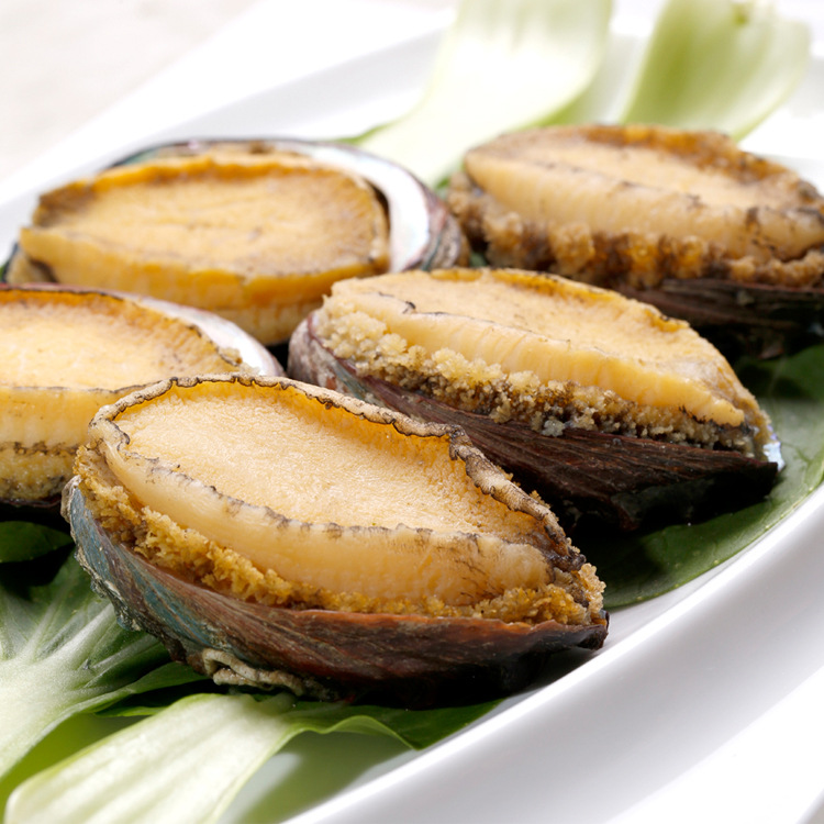 福建鲍鱼南日岛精品鲍鱼去肚冷冻熟鲍鱼宴席鲍230g10头装鲍鱼