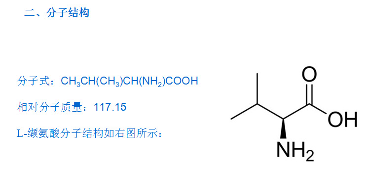 缬氨酸缩写图片