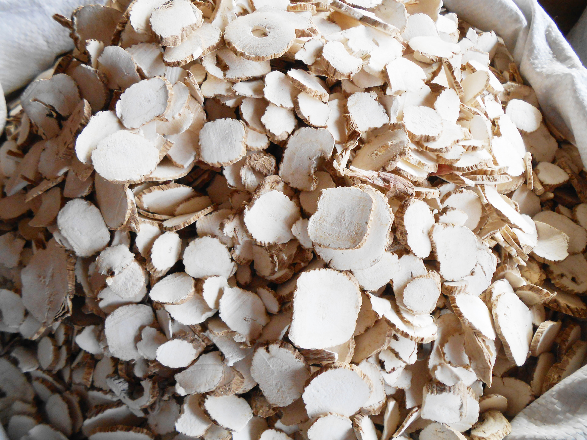 实力商家 正品保证 中药材白芷 精选纯天然无硫磺 白芷饮片批发