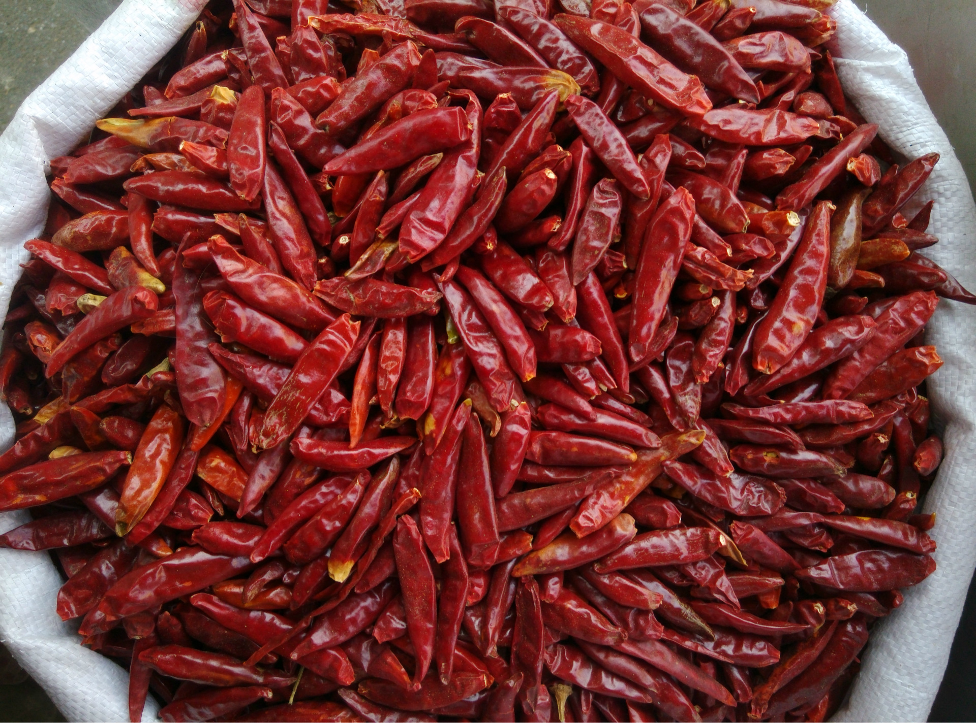 红干辣椒 河南超辣小红尖辣椒特辣朝天椒 子弹头干辣椒 厂家直销