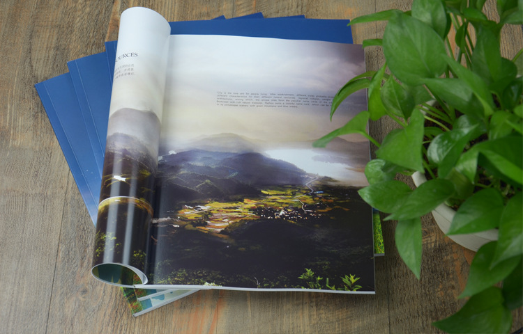 宣传画册印刷厂 杂志说明书定做目录精装胶印 骑马钉胶装货运自提