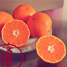 临海涌泉蜜桔价格_最新临海涌泉蜜桔价格\/批发