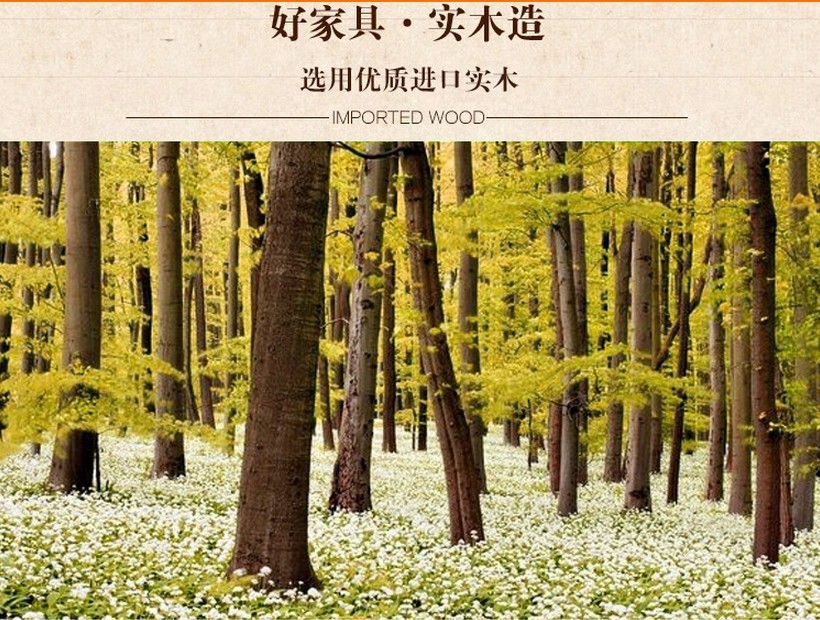 新款促销实木床榉木子母床双层床1.2米1.5米全进口材料质量保证