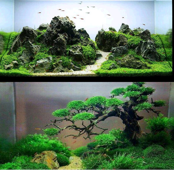 鱼缸底砂沙子黄金沙水草底砂鱼缸造景底砂水族箱造景