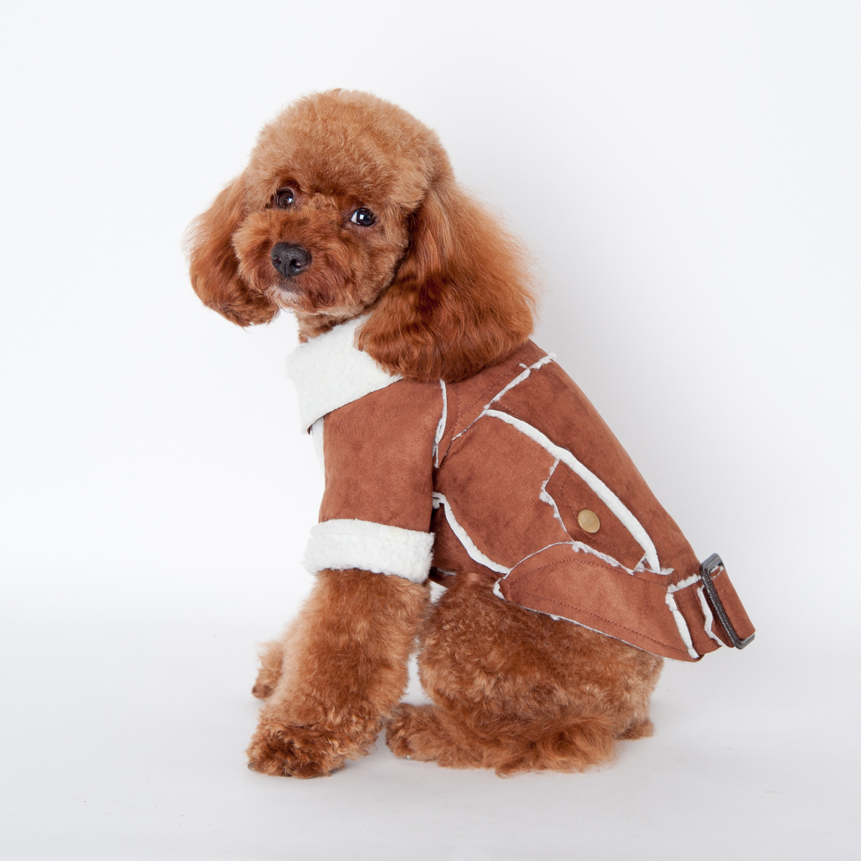 2017年新款狗狗衣服秋冬机车风情欧美范羊羔绒宠物服饰厂家直销