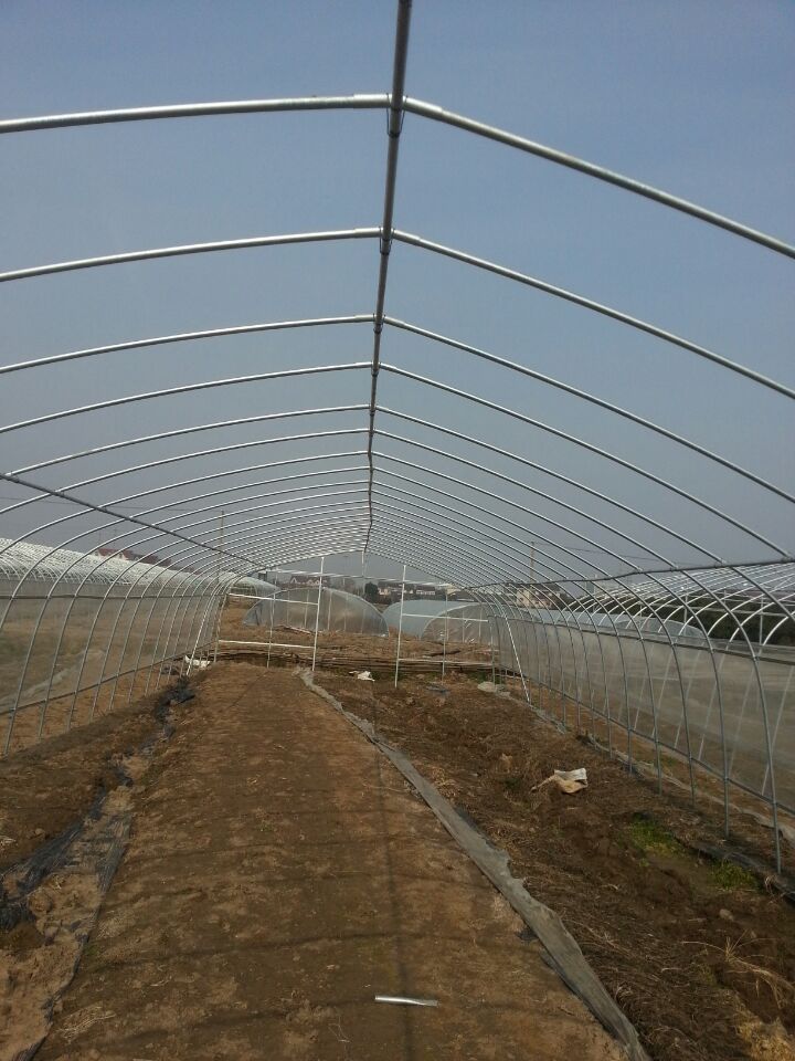 简易拱棚大棚骨架镀锌钢管大棚骨架蔬菜大棚温室大棚
