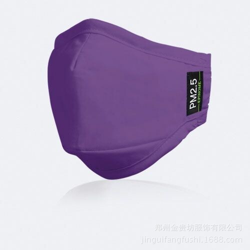 新品热销 成人女款PM2.5防雾霾口罩 紫蓝防护口罩
