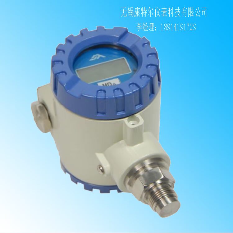防爆压力变送器 (3)