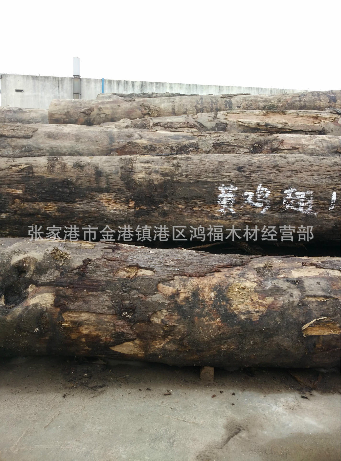 供应优质大量进口蕾丝木 黄苹婆 金孔雀木 黄鸡翅 依杨